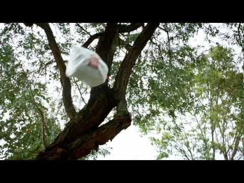 download lagu mp3 mp4 Daleno Art, download mp3 Daleno Art free downloadn, video klip Daleno Art