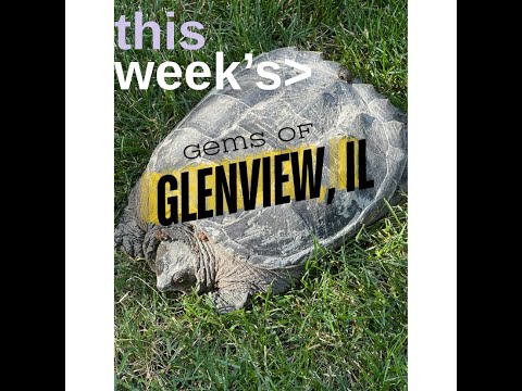 Get to Know Glenview, IL...Tour of Historic Landmark The Grove in Glenview, IL