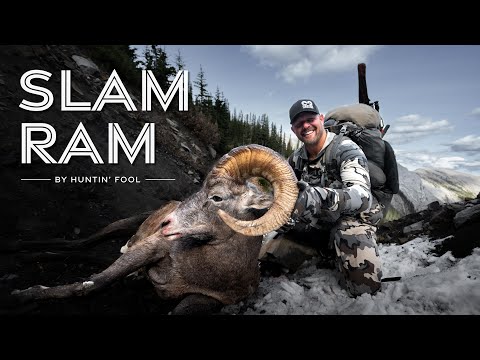 Rocky Mountain Bighorn Sheep Hunt | THE ADVISORS: Slam Ram