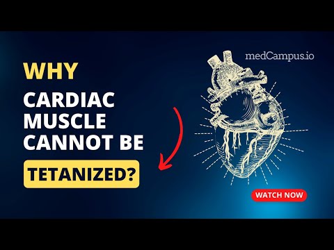 Why cardiac muscle cannot be tetanized | Tetany | Refractory period | Treppe | Medcampus