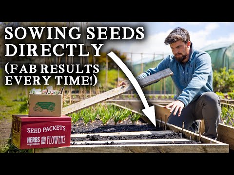How to Get Fantastic Results From Direct Sowing
