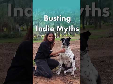 Indian Street Dog vs Breed Dog | Busting the Myth with thePack.in #indiedog #dogs
