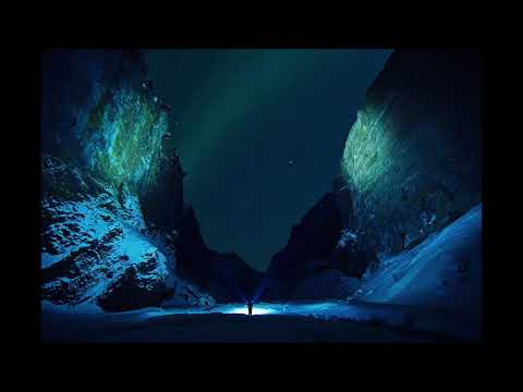 Salamander's Eyes | Newt