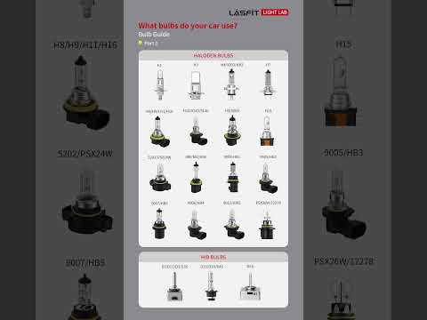 Halogen Bulb Guide: H1, H3, H7, H11, 9005 & More – Which One Fits Your Car?