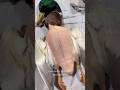Tips For Hand Plucking Ducks Cookingvideo Duckhunting Meat Butcher Hunting