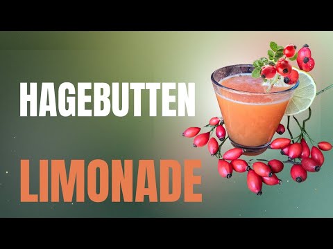 Hagebuttenlimonade, ganze Frucht statt Tee! Natürliches Vitamin C, Pektine & Carotinoide