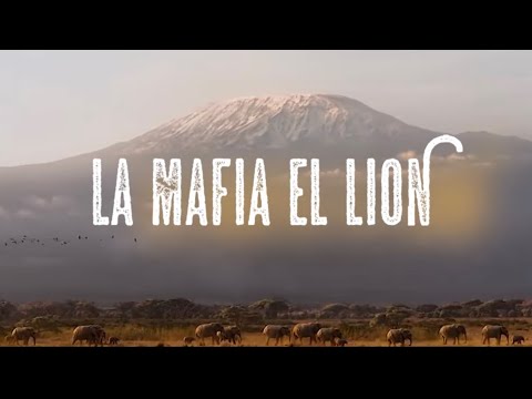 LAMAF - EL LION 🦁(CLIP OFFICIEL)
