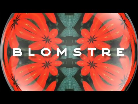 ZaPaTaZz -  b l o m s t r e  (Official Video)