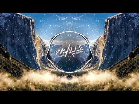 Without You Remix - FUNKY HYBRID (Miracle Jansen) 2020