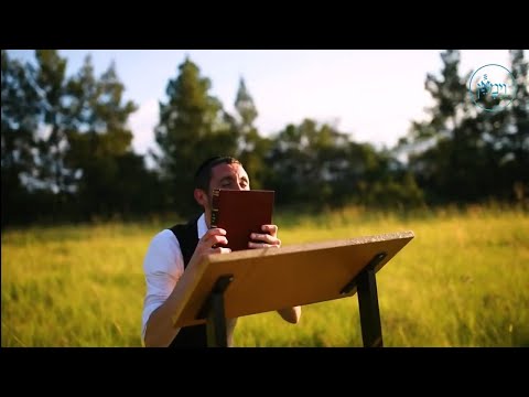 A Divine Gift | Rabbi Dovid Goldwasser