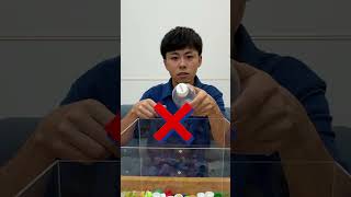 ペットボトルのキャップ１分以内に見つけろ！！