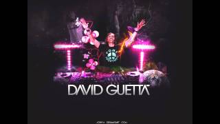 David Guetta - Bass Line (Leo Villagra Dirty Remix) [HQ]