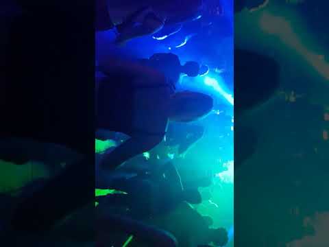 Buzz Fuzz @ Army of hardcore 2018