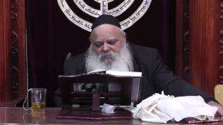הלכות ציצית חלק ג | בן איש חי | הרב דניאל זר
