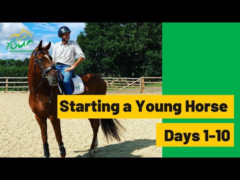 How I start young horses under saddle, Days 1-10