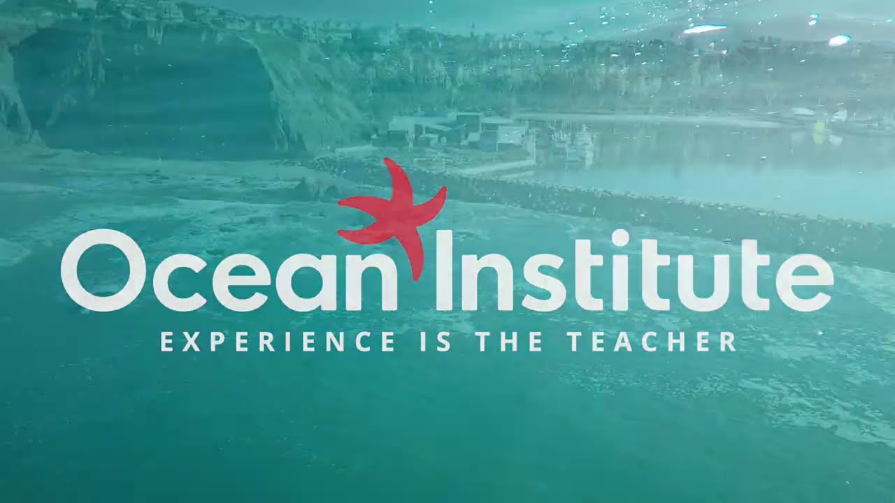 At the Ocean Institute, Partnerships Power Our Mission