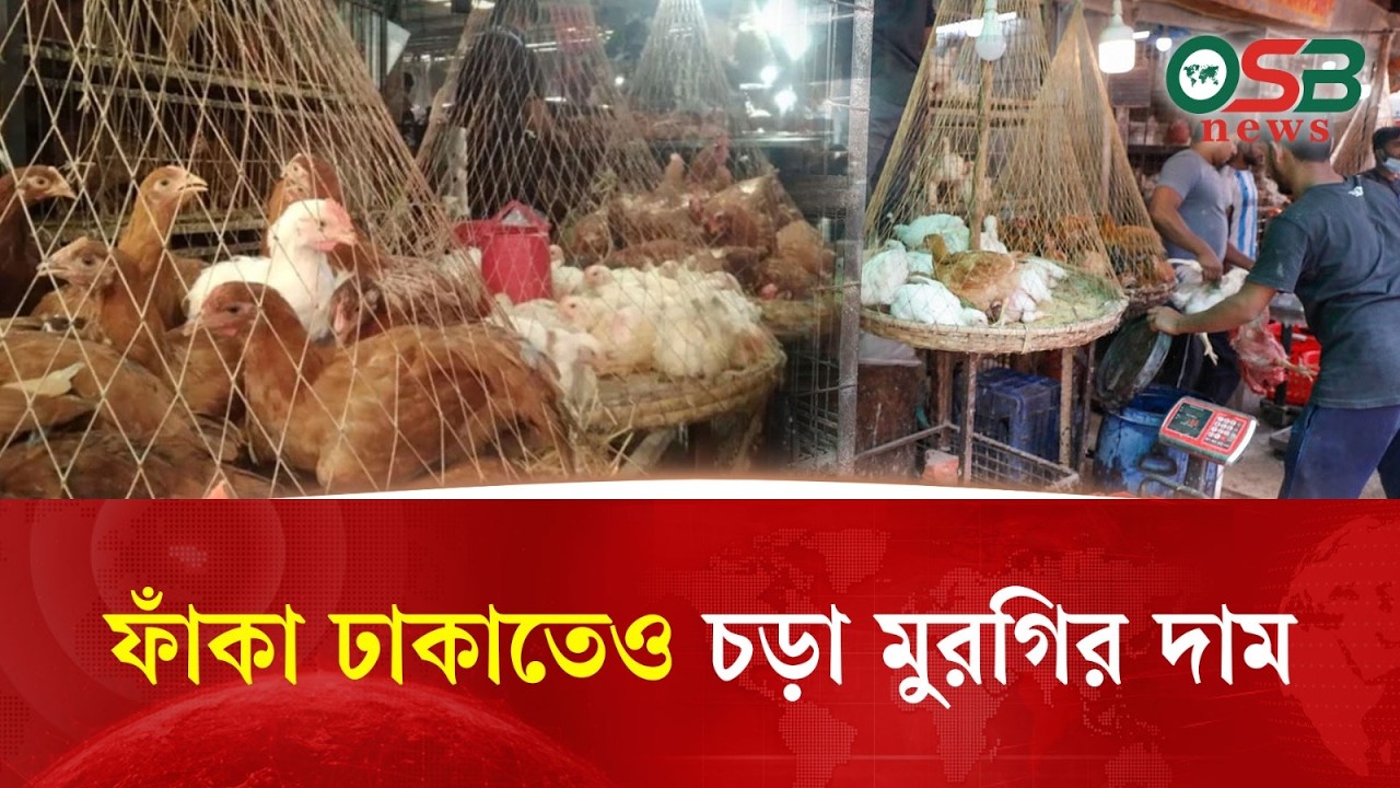 ফাঁকা ঢাকাতেও চড়া মুরগির দাম, দিশেহারা ক্রেতারা!
