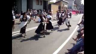 preview picture of video 'FESTA DELL'UVA a  Borgomanero 9 -9 -2012  ( BASSOTUBA53 )'