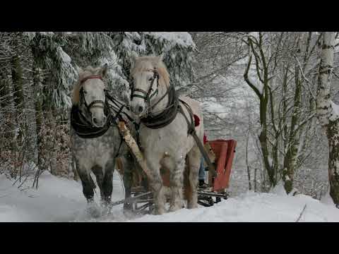 Stefan Hrusca  | Colaj colinde , Christmas Music , Cantece de craciun