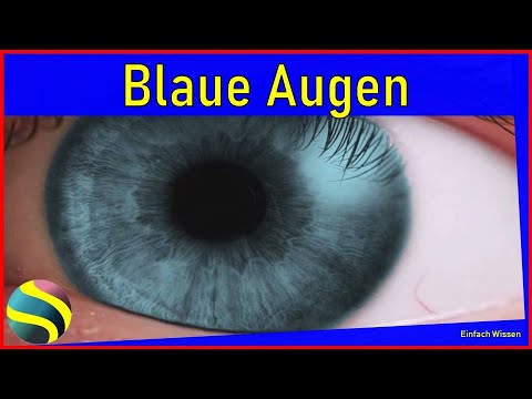 Blaue Augen - Das Geheimnis der Evolution