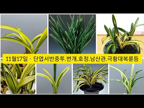 유튜브 썸네일