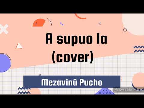 ~A SUPUO LA~cover (Mezavinü pucho)🍂🍂