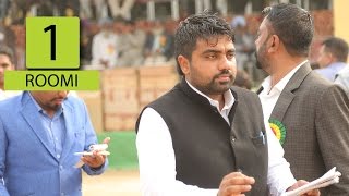 Roomi (Ludhiana) Kabaddi Tournament 19 Feb 2015 Part 1 by Kabaddi365.com