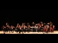 ПЕНЗАКОНЦЕРТ - Венский филармонический Штраус оркестр - Йозеф Гайдн – Прощальная ...