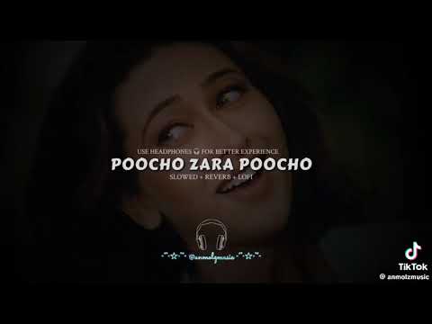 pucho zara pucho slowed reverb