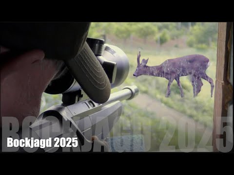 Juni / Ein Jagdgast und der Bock