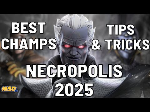 The Necropolis 2025 Revisit | Best New Champions + Strategies