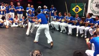 GUC BATIZADO 2012 NORWAY - Laura - Brown and White