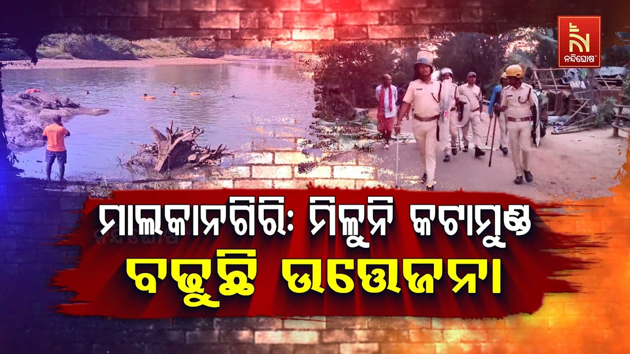🔴 Live | Malkangiri Tension Rises: Missing Body Part Sparks Public Outrage | Nandighosha TV | Odisha