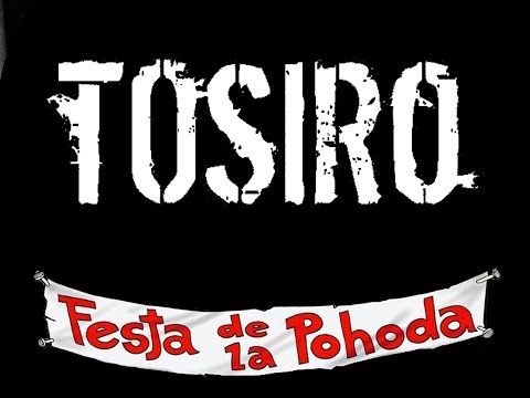 Tosiro - Tosiro live at Festa De La Pohoda 2016