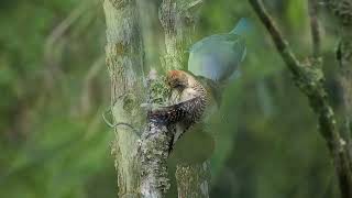 October 12th - Eternal Rock of Salvation