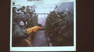 Warning pesticidi e fitofarmaci: i danni alla salute e all'ambiente - parte 1