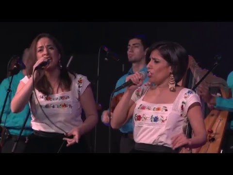 Los Cenzontles & Razilla Chiquilla - Caminos de Guanajuato