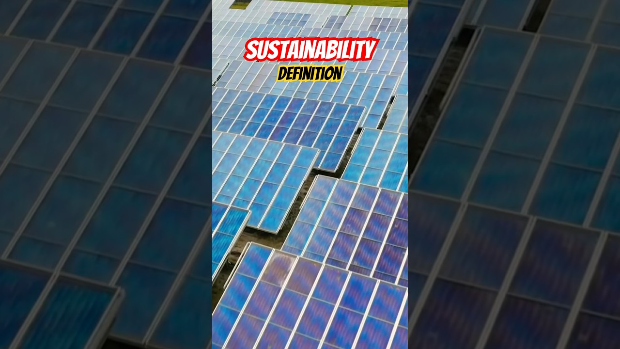 ⚡️What is Sustainability? #sustainability #sustainable #sustainableliving #whatdoesitmean #eco