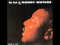 Muddy Waters - You need love (1962) - Los Discos de Diego Muddy Waters - You need love (1962)