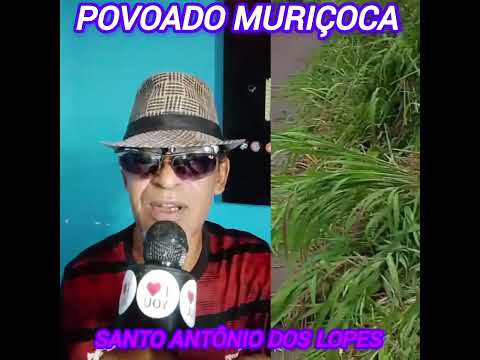 notícias de santo Antônio dos Lopes 🔥