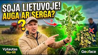 AR SOJA LIETUVOJE TURI ATEITĮ? 🌿Lauko diena Akademijoje 🚜