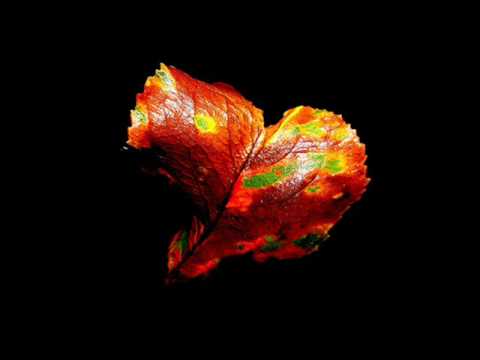 TRANCE VISIONS- Ryan G - Emoticon (Miika Kuisma Remix)