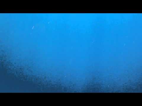 Biggest Manta Ray I've ever seen during Redline Rafting tour in Maui!