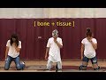 Bone Tissue Gallant Tre De Rego Choreography