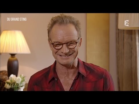Alcaline, Le Sujet du 10/11 avec Sting