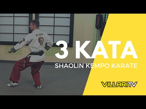 Learn 3 Kata from Grandmaster Fred Villari's Shaolin Kempo Karate