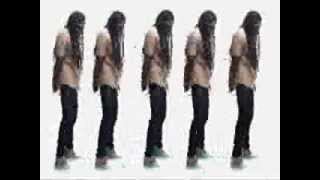 Lil wayne  Scream And Shout Remix,Verse) HD-3D