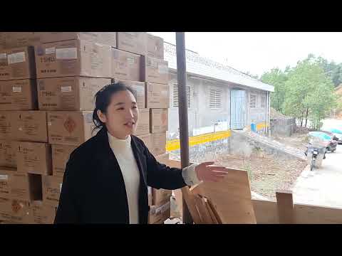 Wizard 1.3G Shells and Cakes Container Loading