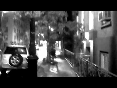 KELLY GRINZ - THE BULLSHIT