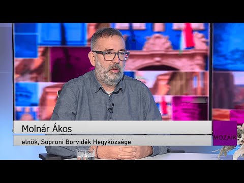 Mozaik - közéleti magazin - vendég: Molnár Ákos- 2025.12.18. - Csütörtök